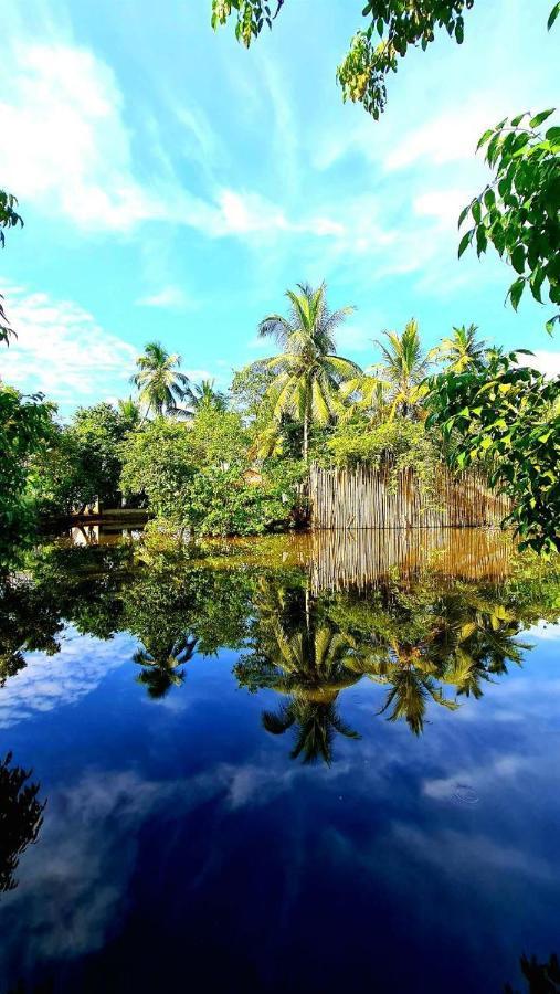 Hotel Bounty Ambalangoda  Exteriér fotografie